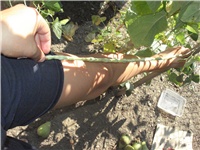 39af3445-mahune 014.jpg